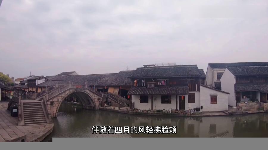 救援小老鼠